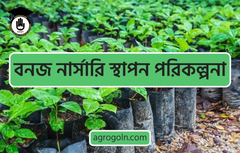 বনজ নার্সারি স্থাপন পরিকল্পনা