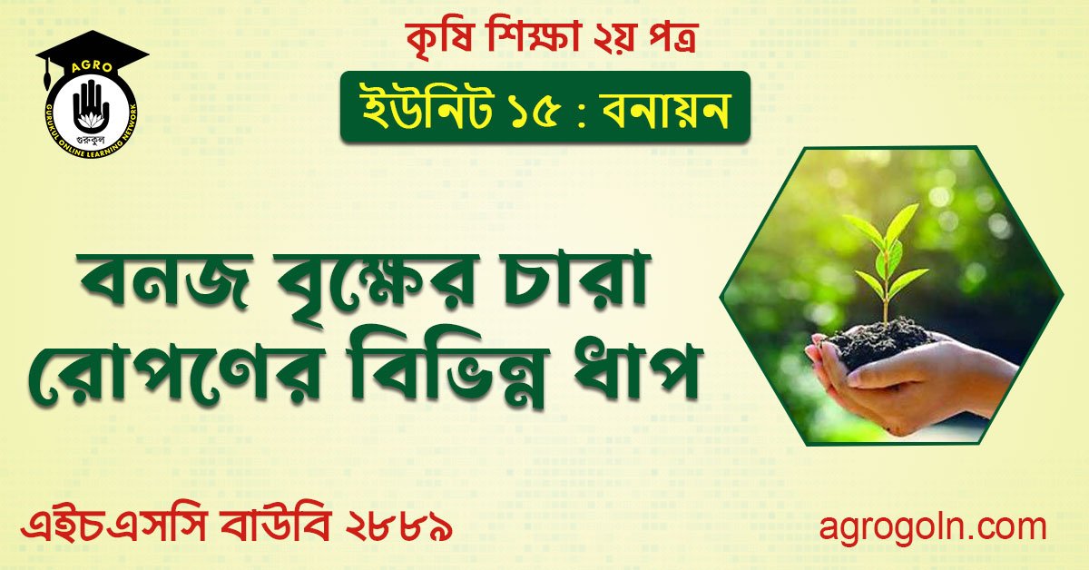 বনজ বৃক্ষের চারা রোপণ