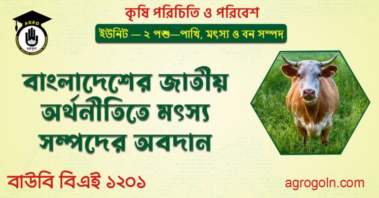 বাংলাদেশের জাতীয় অর্থনীতিতে মৎস্য সম্পদের অবদান