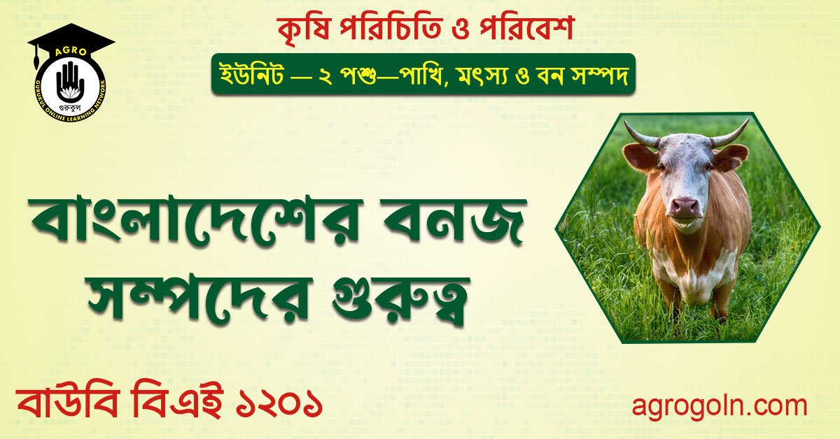 বাংলাদেশের বনজ সম্পদের গুরুত্ব