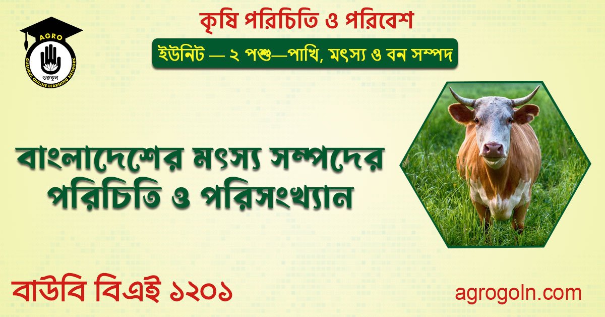 বাংলাদেশের মৎস্য সম্পদের পরিচিতি ও পরিসংখ্যান