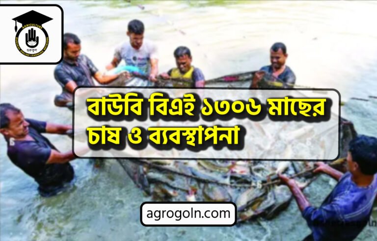 বাউবি বিএই ১৩০৬ মাছের চাষ ও ব্যবস্থাপনা
