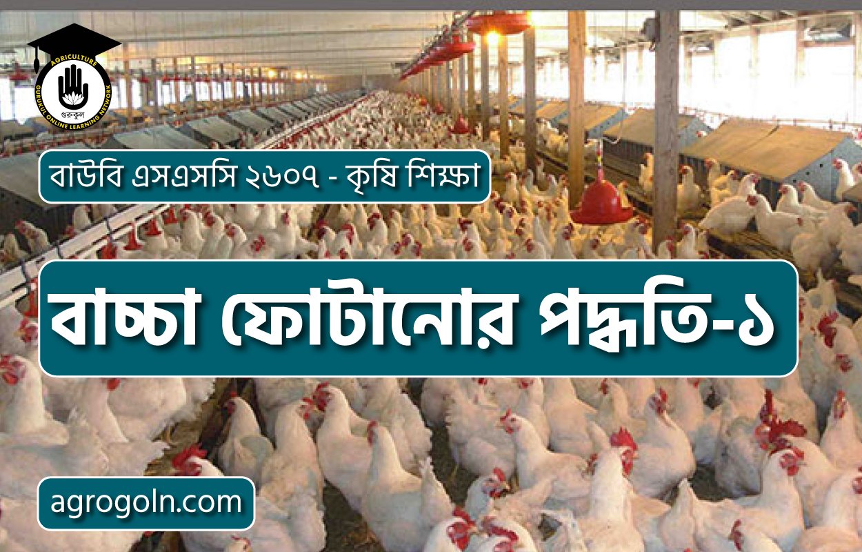 বাচ্চা ফোটানোর পদ্ধতি-১