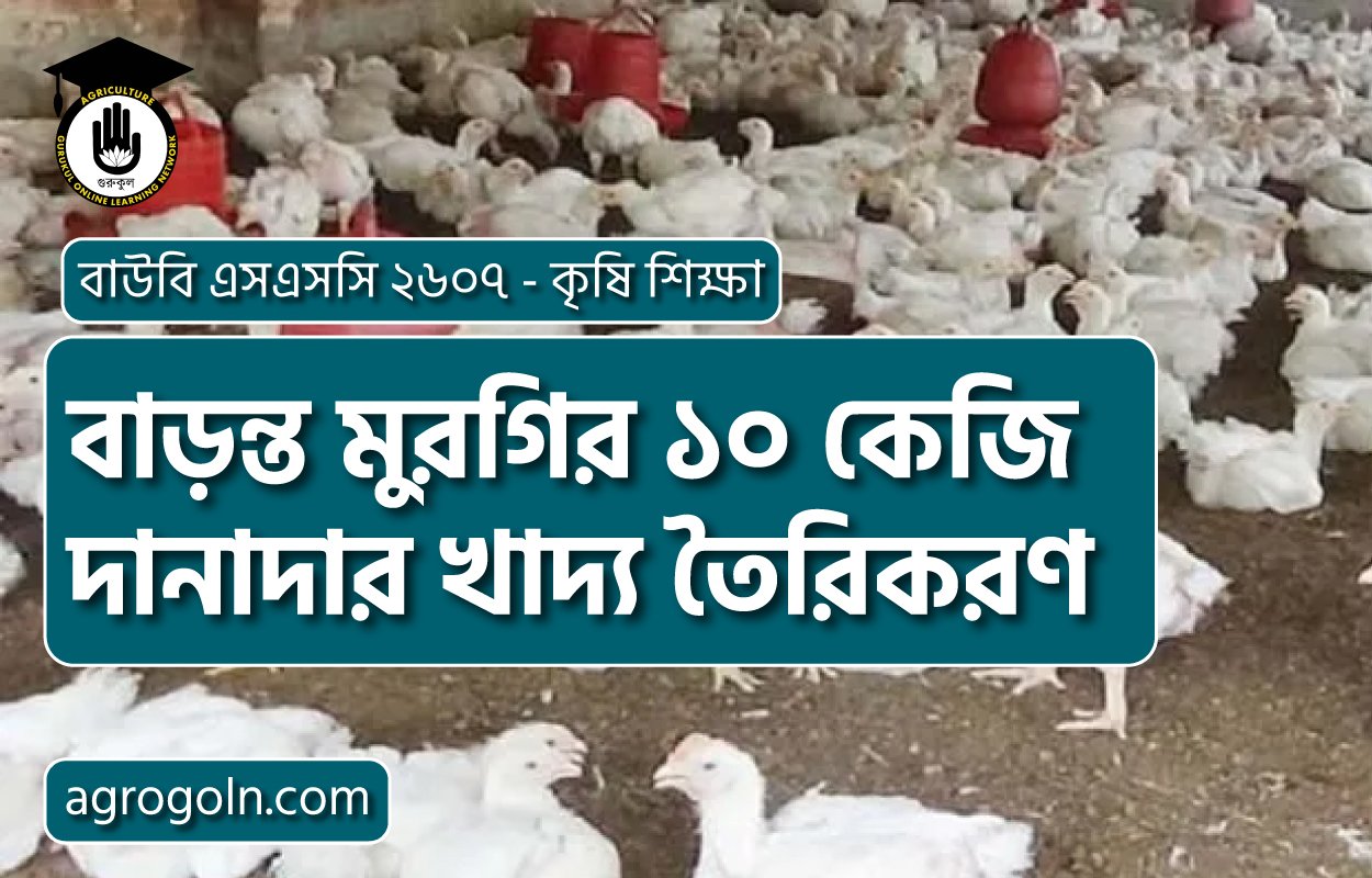বাড়ন্ত মুরগির ১০ কেজি দানাদার খাদ্য তৈরিকরণ