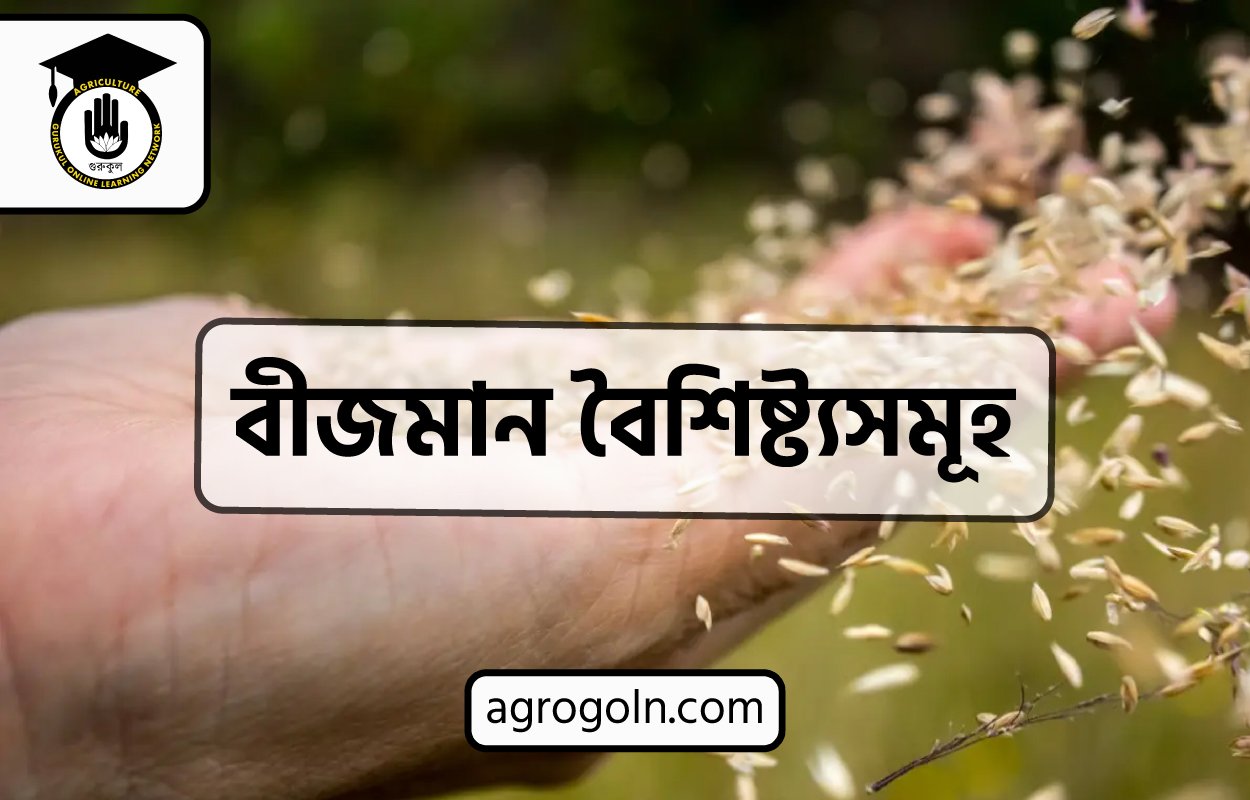 বীজমান বৈশিষ্ট্যসমূহ