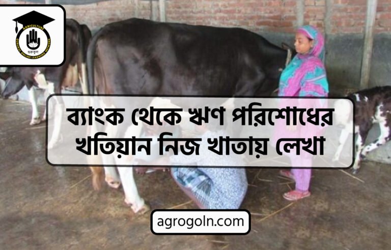 ব্যাংক থেকে ঋণ পরিশোধের খতিয়ান নিজ খাতায় লেখা