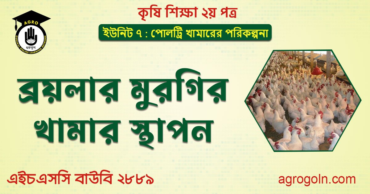 ব্রয়লার মুরগির খামার স্থাপন