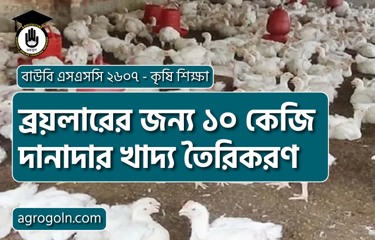 ব্রয়লারের জন্য ১০ কেজি দানাদার খাদ্য তৈরিকরণ
