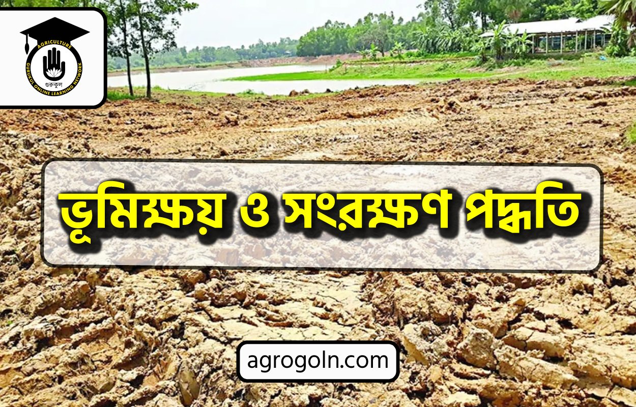 ভূমিক্ষয় ও সংরক্ষণ পদ্ধতি