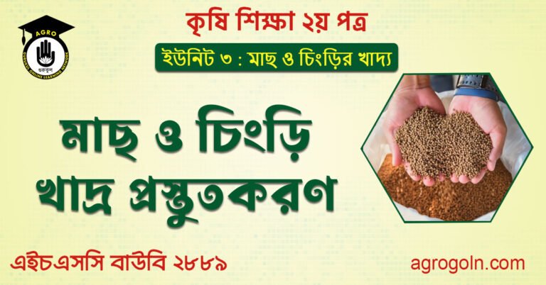 মাছ ও চিংড়ি খাদ্র প্রস্তুতকরণ