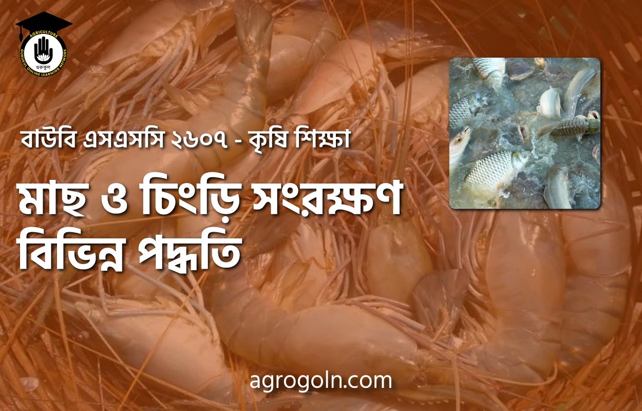 মাছ ও চিংড়ি সংরক্ষণ বিভিন্ন পদ্ধতি