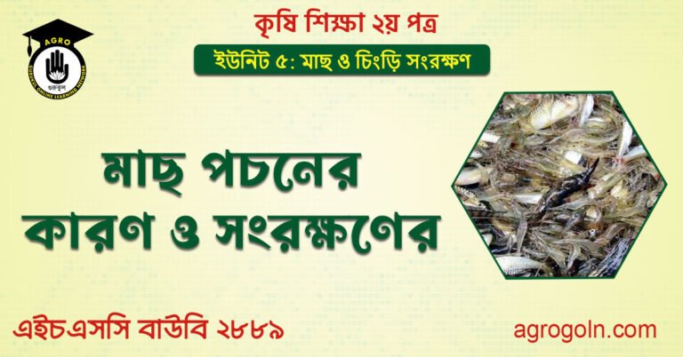 মাছ পচনের কারণ ও সংরক্ষণের