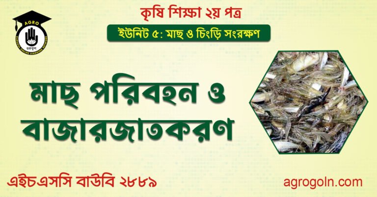 মাছ পরিবহন ও বাজারজাতকরণ