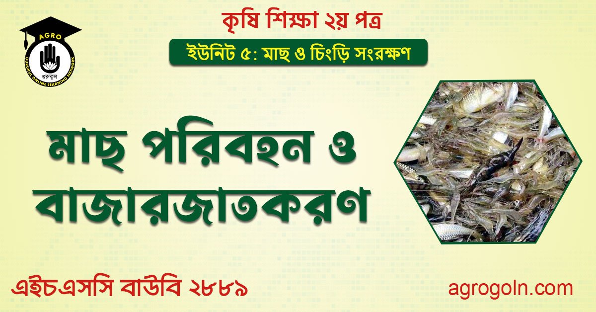 মাছ পরিবহন ও বাজারজাতকরণ