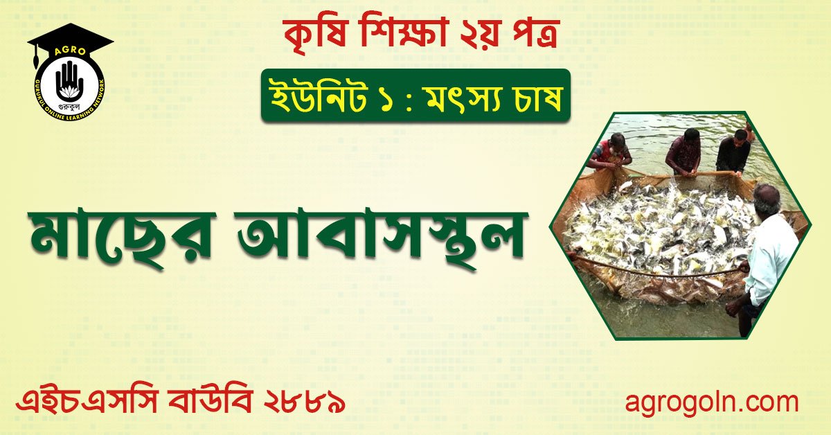 মাছের আবাসস্থল