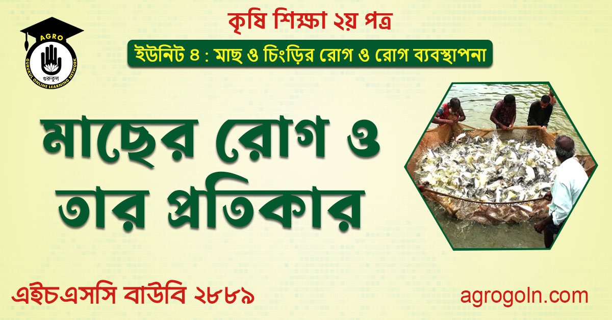 মাছের রোগ ও তার প্রতিকার