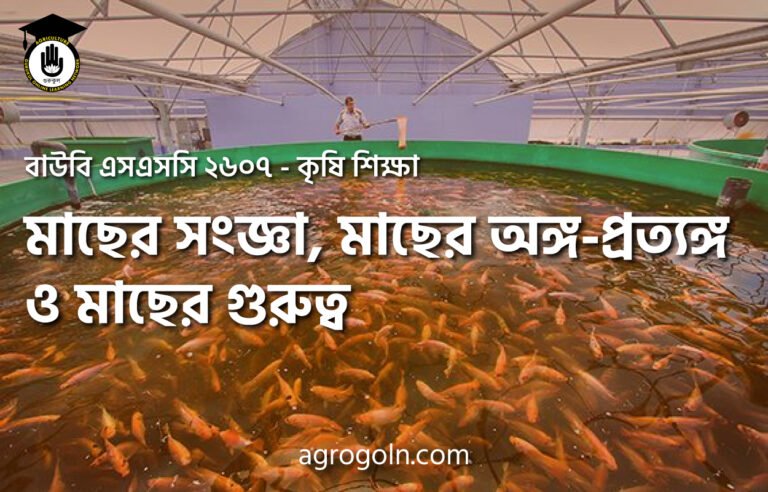 মাছের সংজ্ঞা, মাছের অঙ্গ-প্রত্যঙ্গ ও মাছের গুরুত্ব