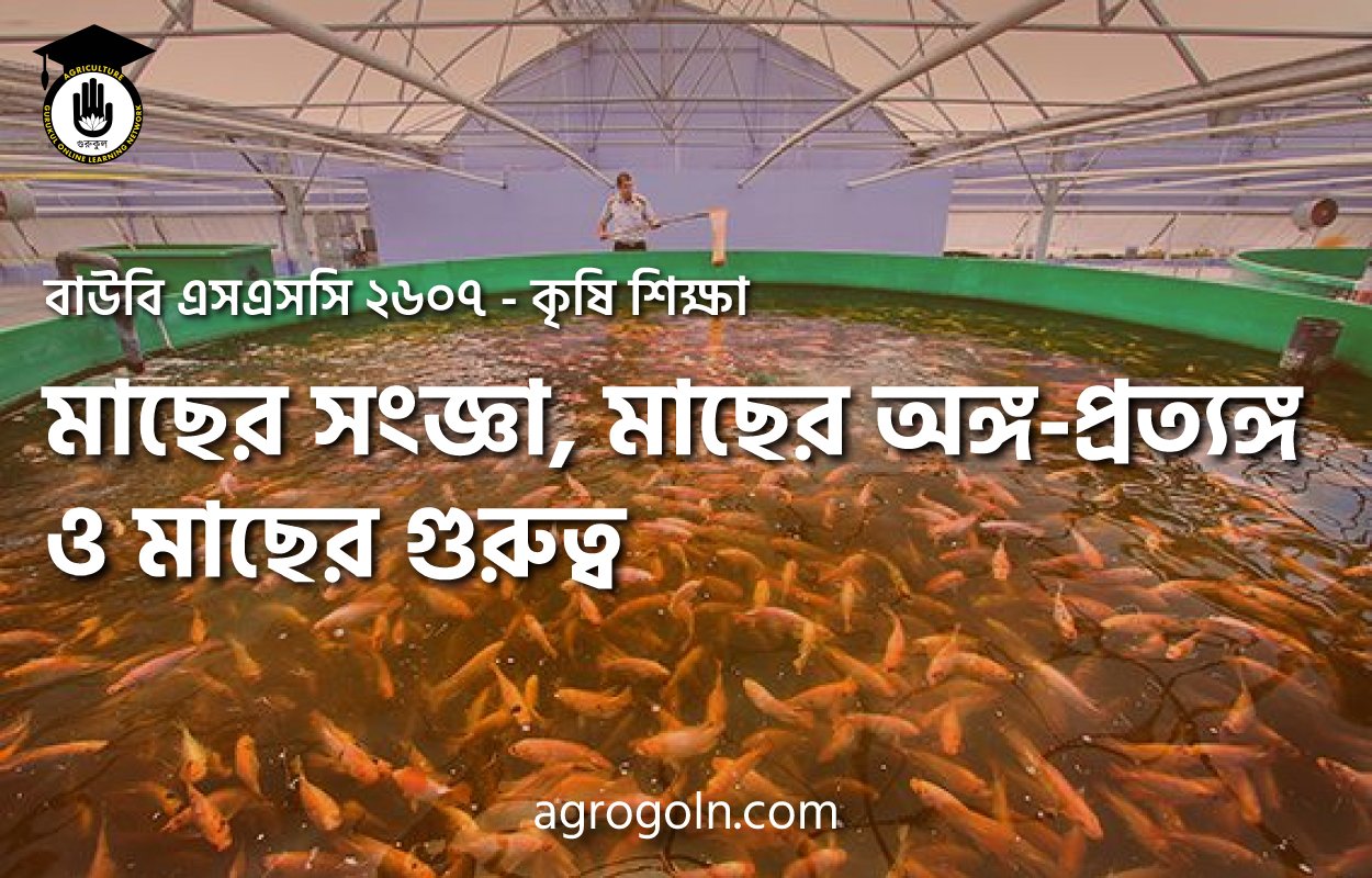 মাছের সংজ্ঞা, মাছের অঙ্গ-প্রত্যঙ্গ ও মাছের গুরুত্ব