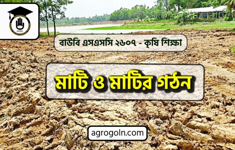 মাটি ও মাটির গঠন