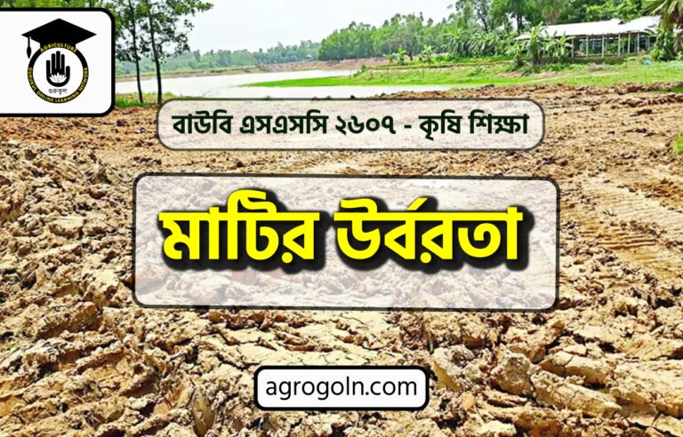 মাটির উর্বরতা