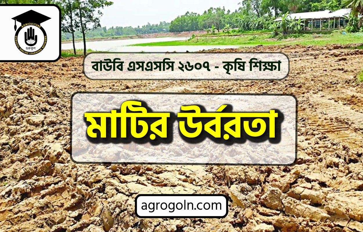 মাটির উর্বরতা
