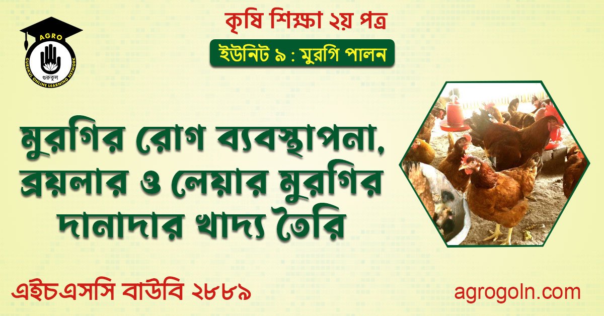মুরগির রোগ ব্যবস্থাপনা, ব্রয়লার ও লেয়ার মুরগির দানাদার খাদ্য তৈরি