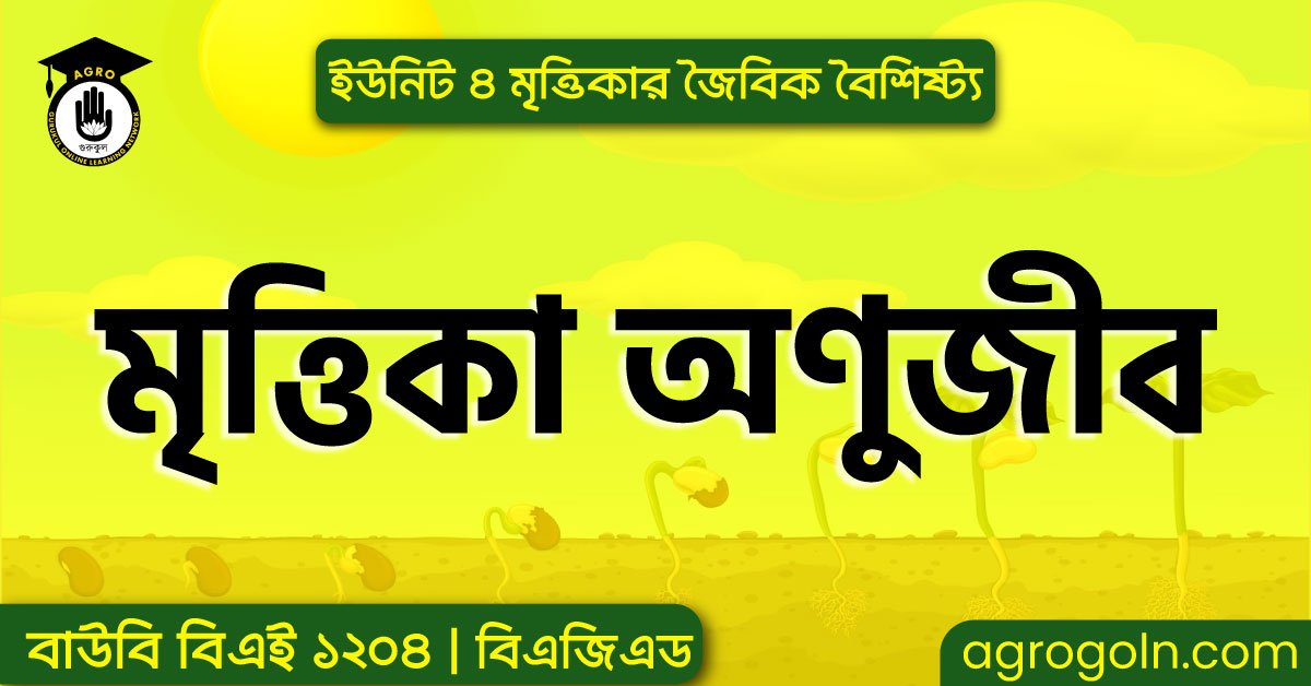 মৃত্তিকা অণুজীব