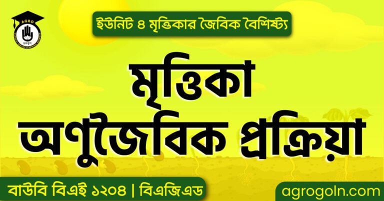 মৃত্তিকা অণুজৈবিক প্রক্রিয়া