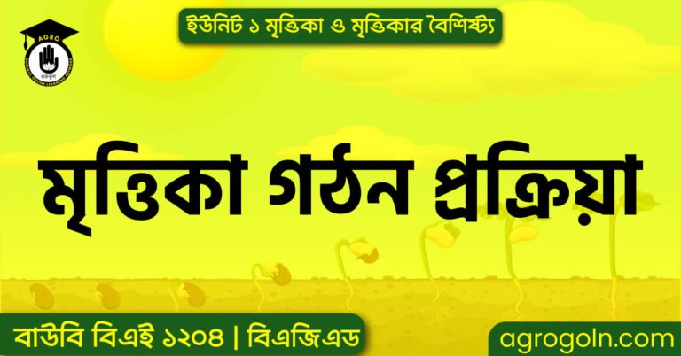 মৃত্তিকা গঠন প্রক্রিয়া