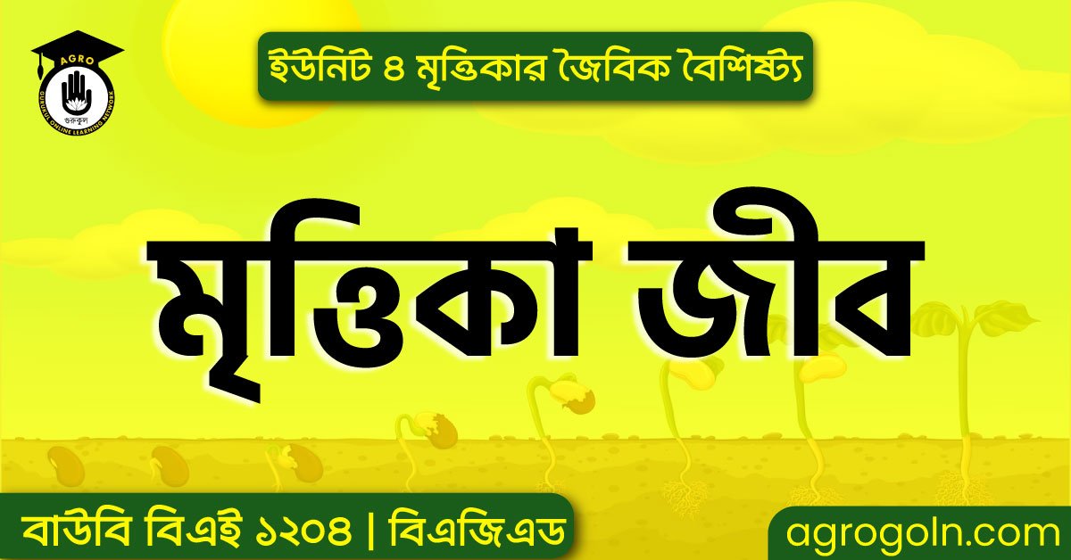 মৃত্তিকা জীব