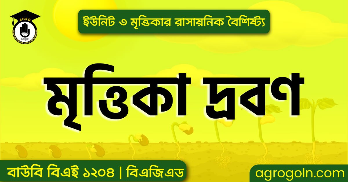 মৃত্তিকা দ্রবণ