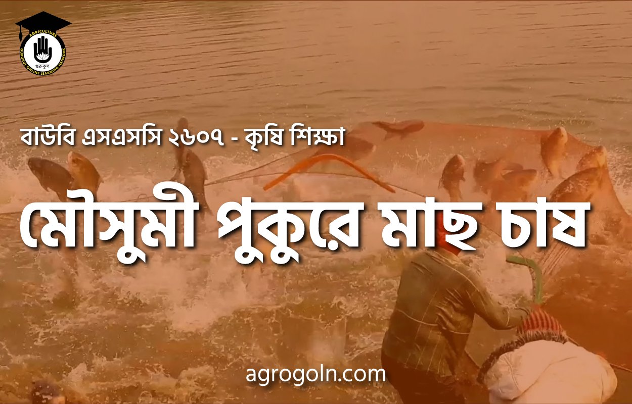 মৌসুমী পুকুরে মাছ চাষ