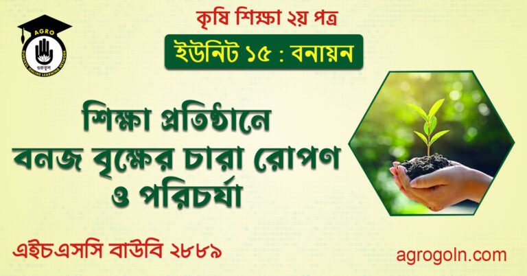 শিক্ষা প্রতিষ্ঠানে বনজ বৃক্ষের চারা রোপণ ও পরিচর্যা