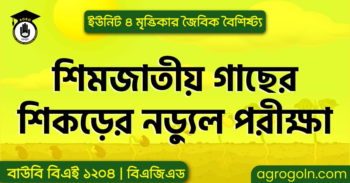 শিমজাতীয় গাছের শিকড়ের নড়্যুল পরীক্ষা, ব্যবহারিক