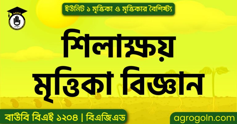 শিলাক্ষয় মৃত্তিকা বিজ্ঞান