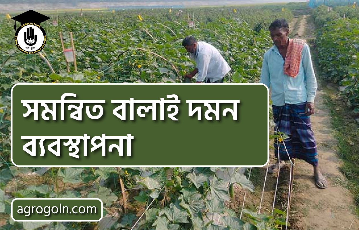 সমন্বিত বালাই দমন ব্যবস্থাপনা