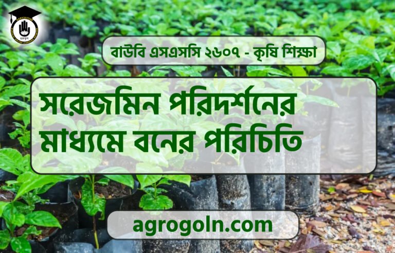 সরেজমিন পরিদর্শনের মাধ্যমে বনের পরিচিতি