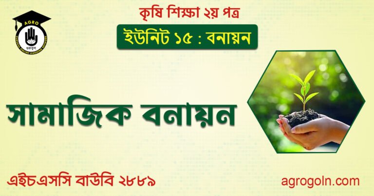 সামাজিক বনায়ন