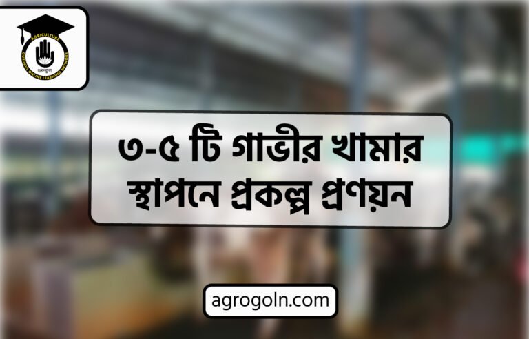 ৩-৫ টি গাভীর খামার স্থাপনে প্রকল্প প্রণয়ন