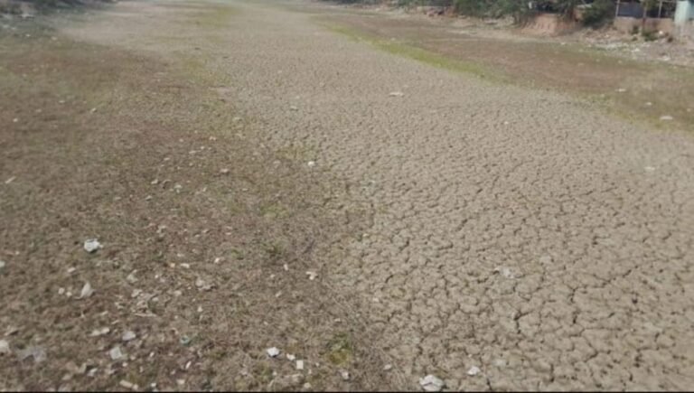 কৃষি কাজে বিপর্যয়