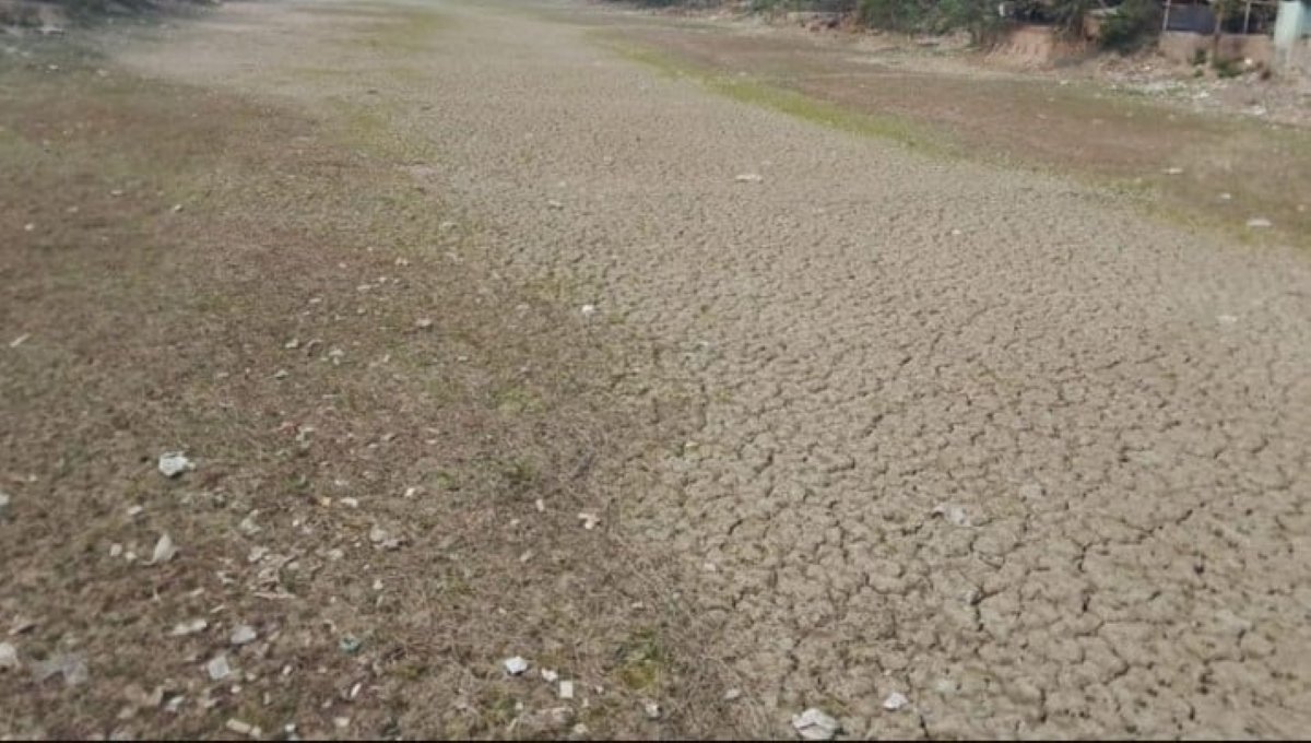 কৃষি কাজে বিপর্যয়