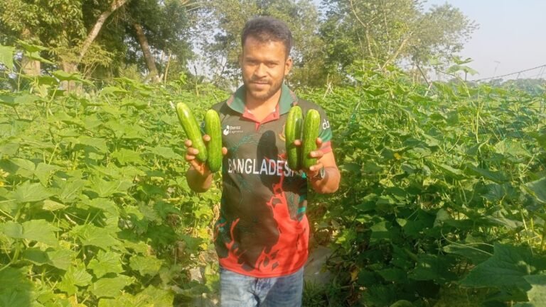 কৃষিতে সফল হোসেনপুরের শিক্ষিত যুবক রেদুয়ান