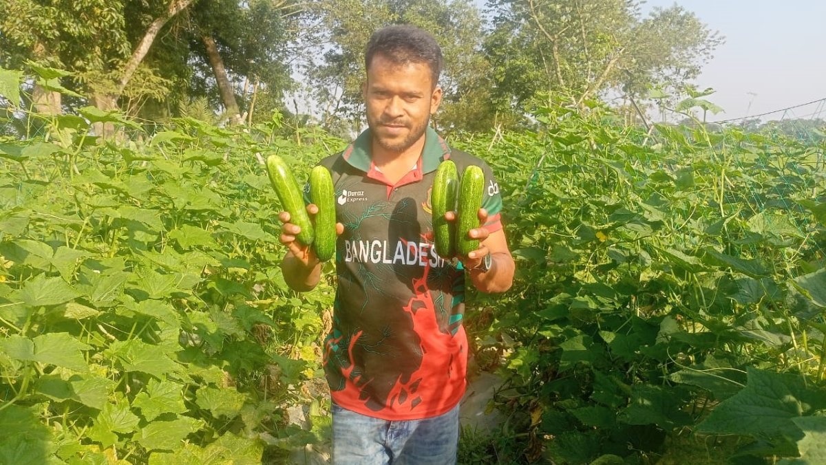 কৃষিতে সফল হোসেনপুরের শিক্ষিত যুবক রেদুয়ান