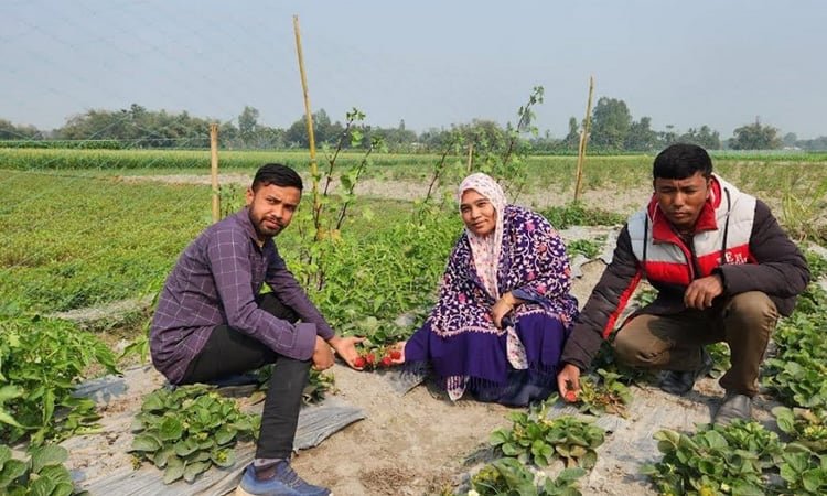 তরুণ উদ্যোক্তা মাসুম