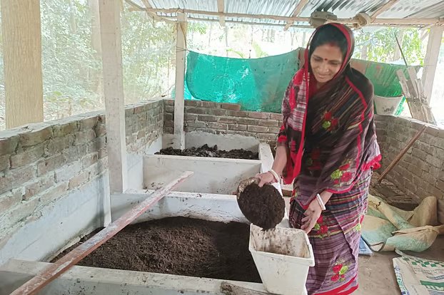 যে গ্রামের অর্ধশত মানুষ কেঁচো সার উৎপাদন করেন